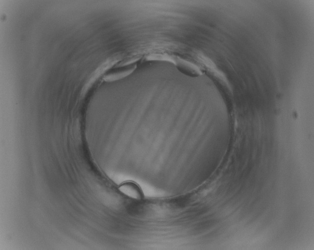 X0000075830250200610061829