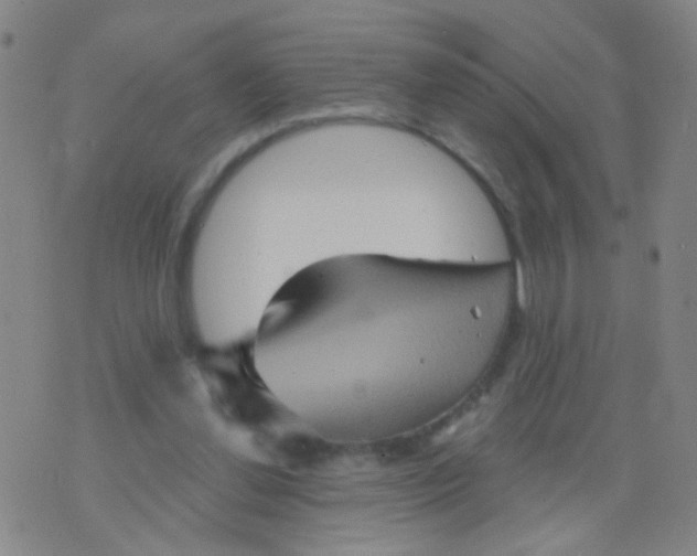 X0000075830252200610061829