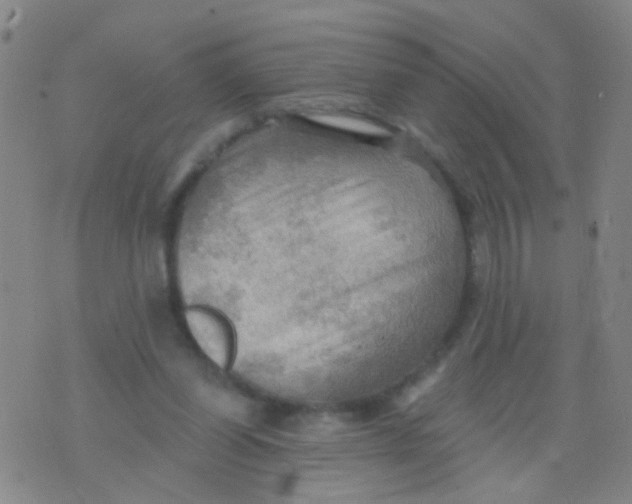 X0000075830254200610061829