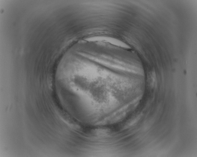 X0000075830255200610061829