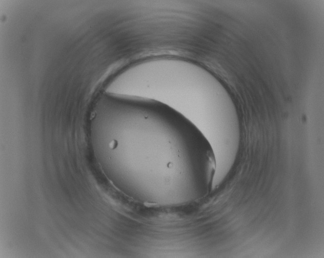 X0000075830256200610061829