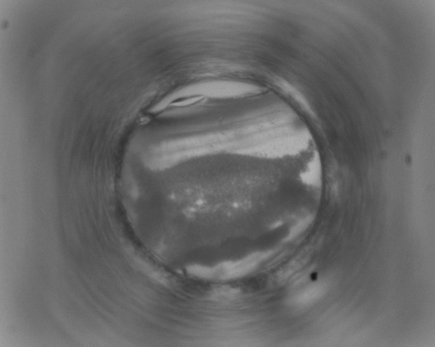 X0000075830257200610061829