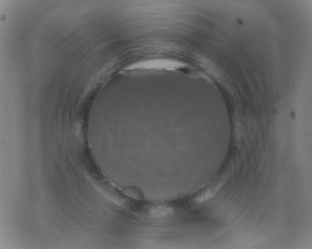 X0000075830258200610061829