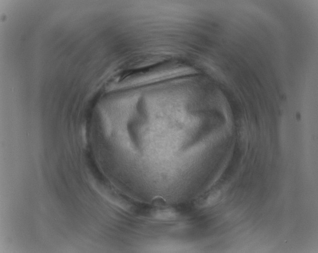 X0000075830262200610061829