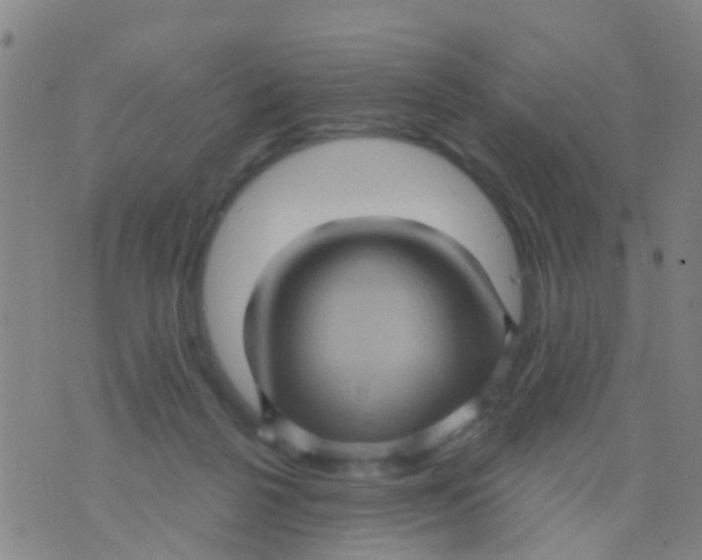 X0000075830264200610061829