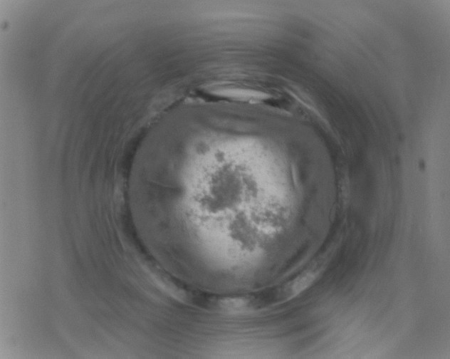 X0000075830265200610061829