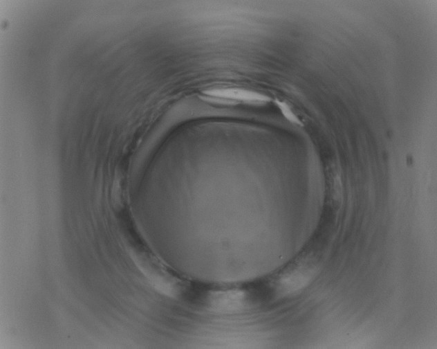 X0000075830266200610061829