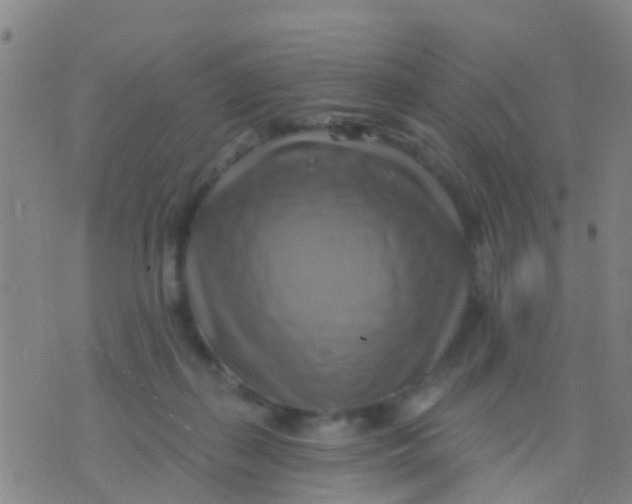 X0000075830267200610061829