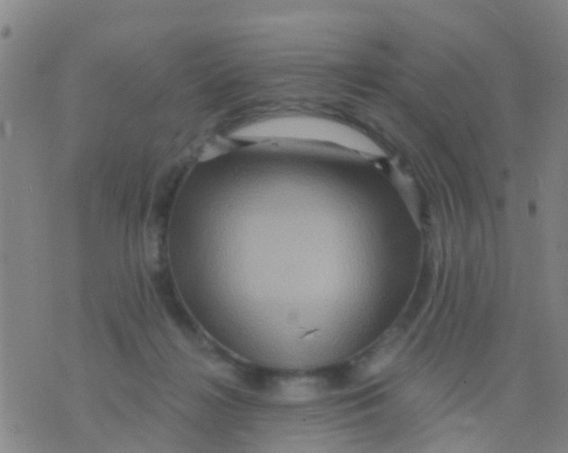 X0000075830268200610061829