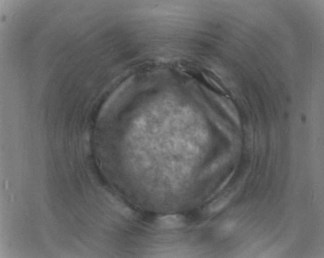 X0000075830269200610061829