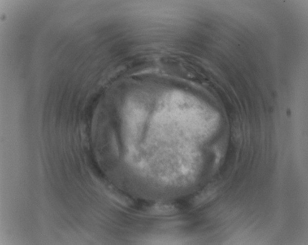 X0000075830270200610061829