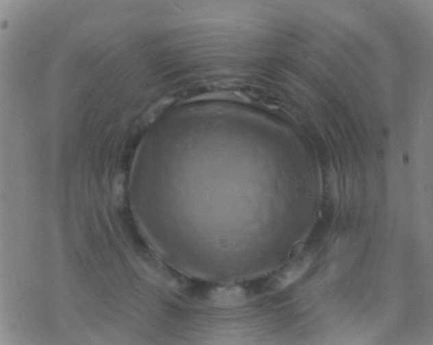 X0000075830271200610061829