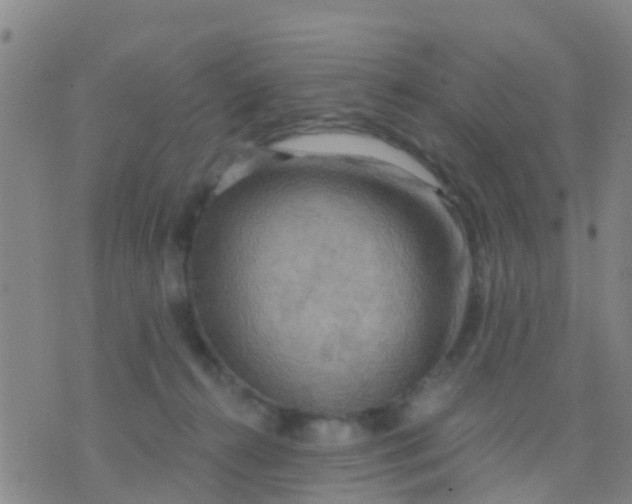 X0000075830272200610061829