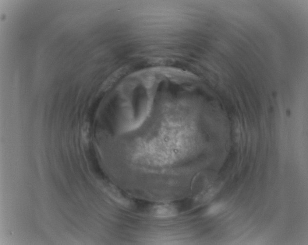 X0000075830275200610061830