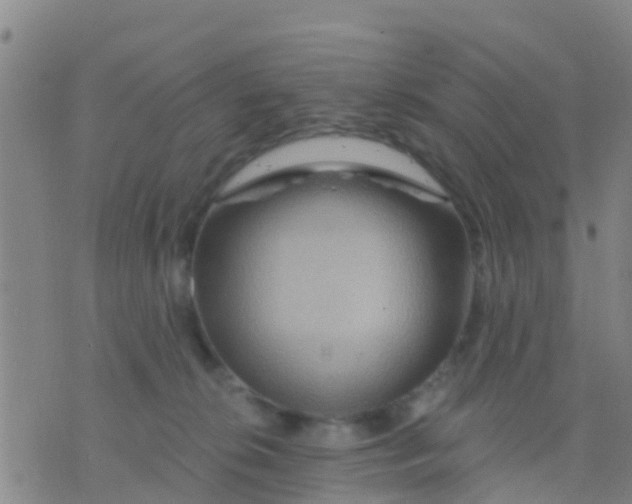 X0000075830276200610061830