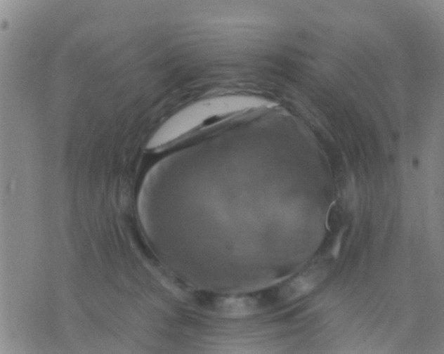 X0000075830277200610061830