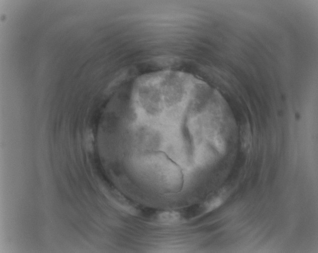 X0000075830279200610061830