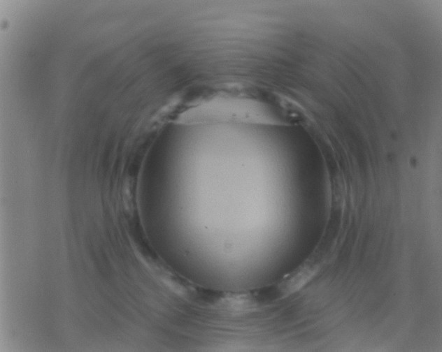 X0000075830280200610061830