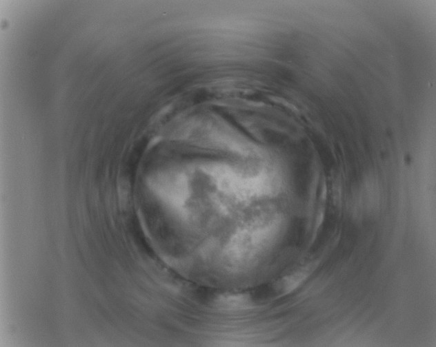 X0000075830283200610061830