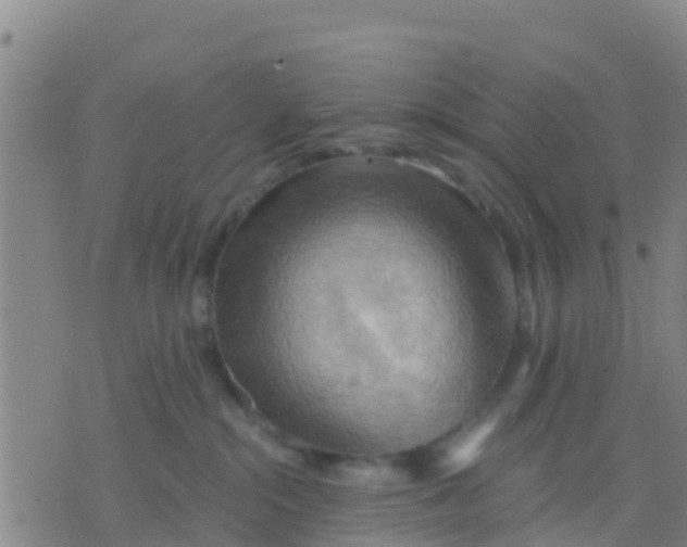 X0000075830284200610061830