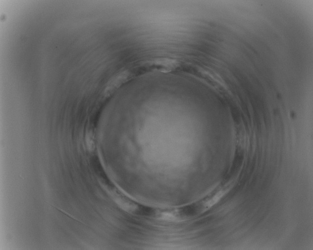 X0000075830285200610061830