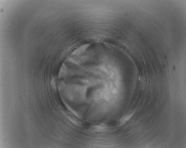 X0000075830286200610061830