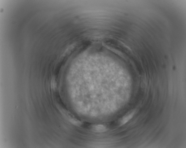 X0000075830287200610061830