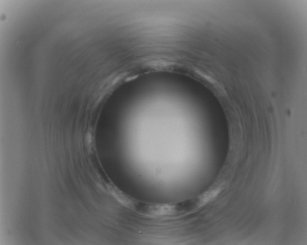 X0000075830288200610061830