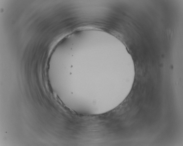 X0000075830289200610061829