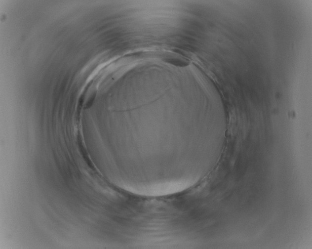 X0000075830290200610061829