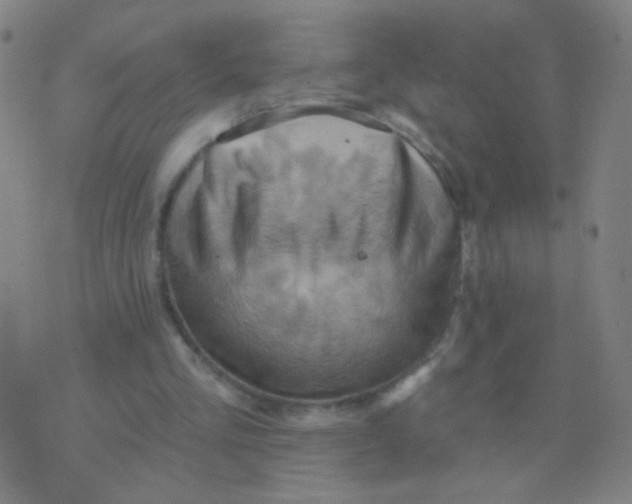 X0000075830293200610061829