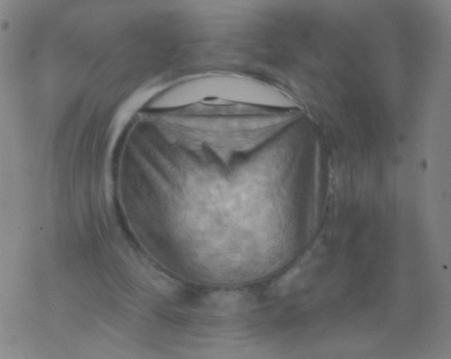 X0000075830294200610061829