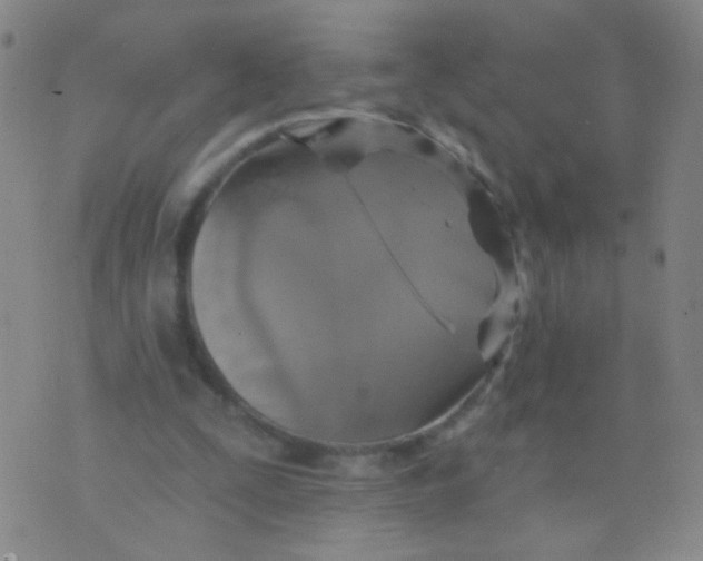 X0000075830295200610061829