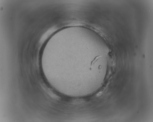 X0000075830296200610061829