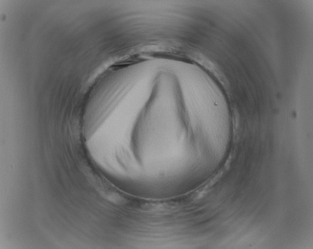 X0000075830297200610061829