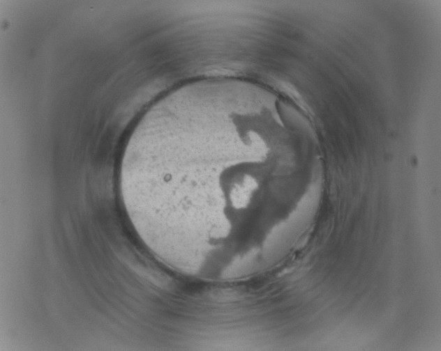 X0000075830299200610061829