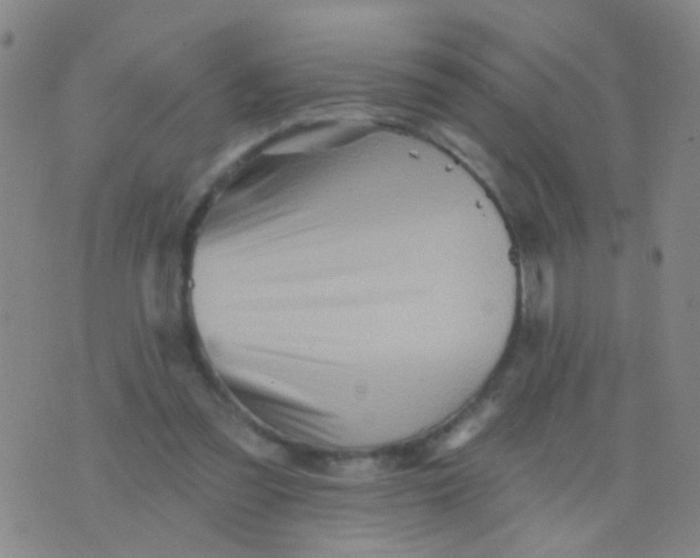 X0000075830301200610061829