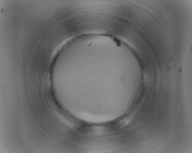 X0000075830302200610061829