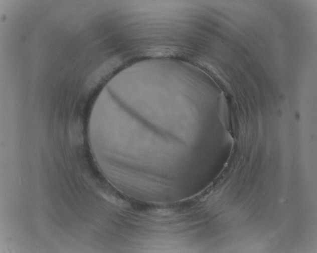 X0000075830303200610061829