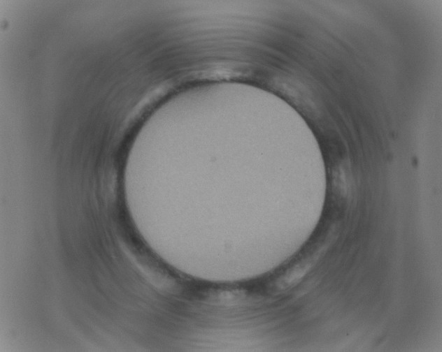 X0000075830304200610061829