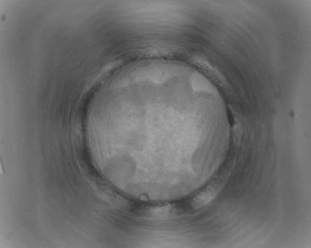 X0000075830306200610061829