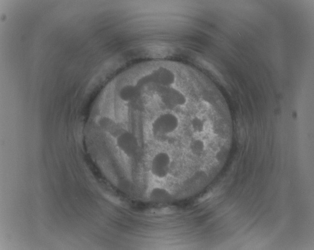 X0000075830307200610061829