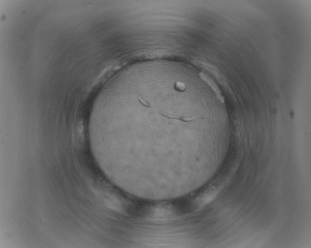 X0000075830308200610061829