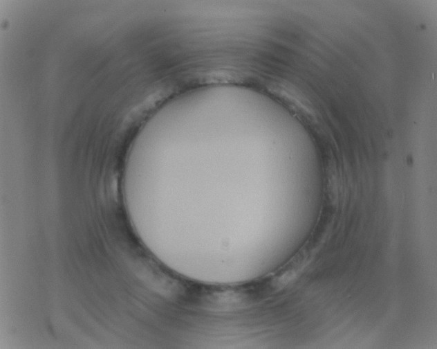 X0000075830310200610061829