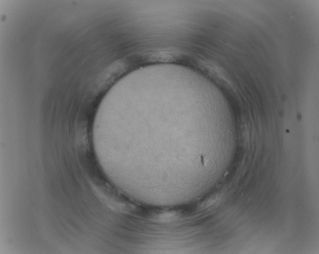 X0000075830312200610061829