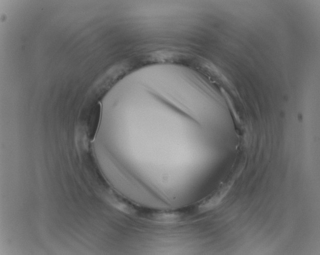 X0000075830313200610061829