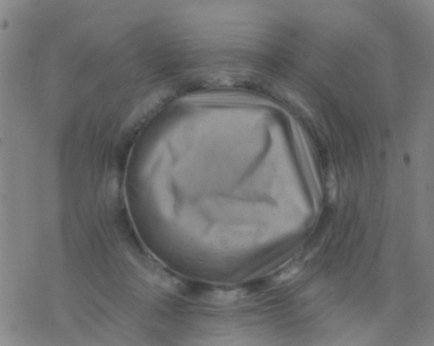 X0000075830314200610061829