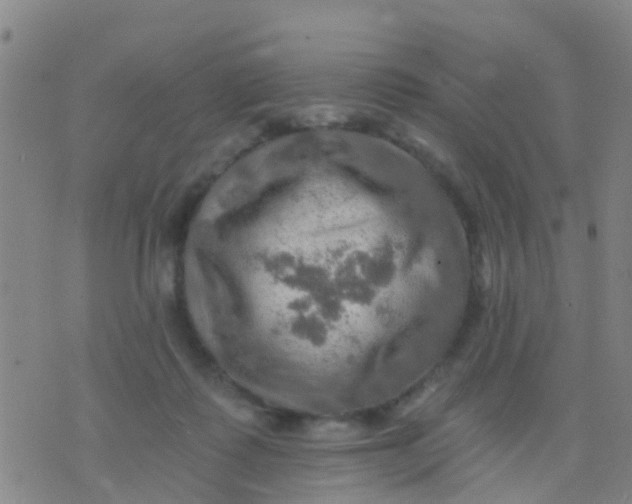 X0000075830315200610061829