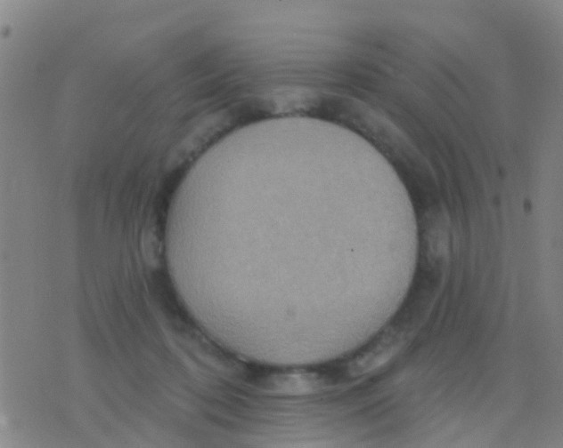 X0000075830316200610061829