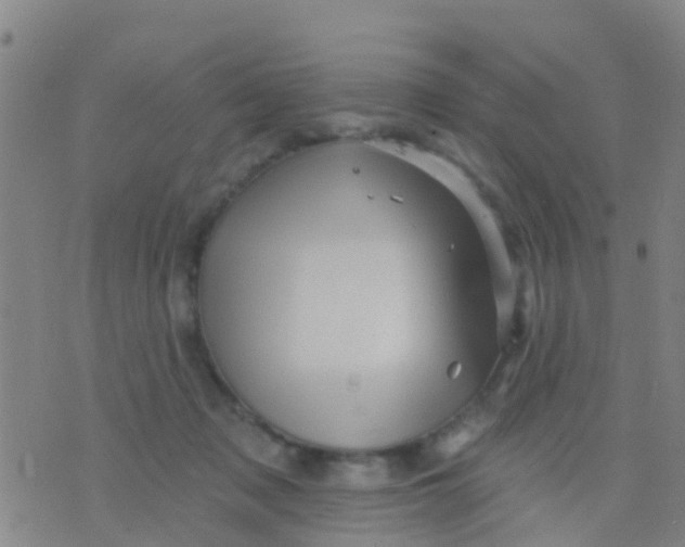 X0000075830317200610061828